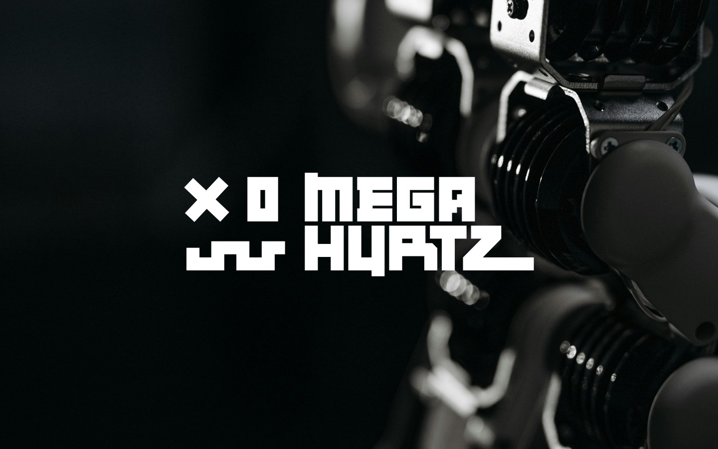 MEGAHURTZ